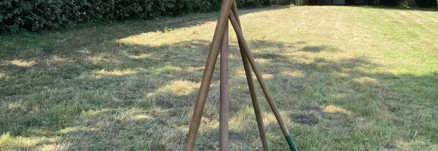 Découverte Professionnelle