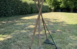 Découverte Professionnelle